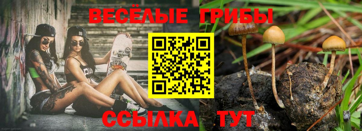 Галлюциногенные грибы GOLDEN TEACHER  Вход с VPN  Скопин  Галлюциногенные грибы Cubensis 
